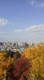 屋上から高台公園.jpg