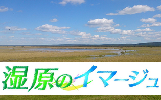 湿原のイマージュ　～HTB釧路支局発カメラマン日記～