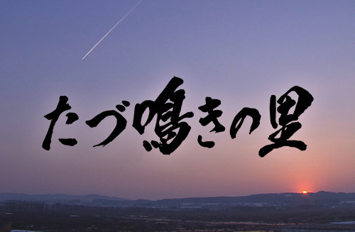 たづ鳴きの里～タンチョウを呼ぶ農民たちの1500日～