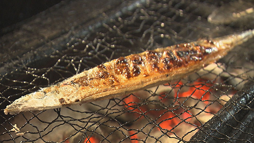 秋刀魚が消えた　サンマのまち