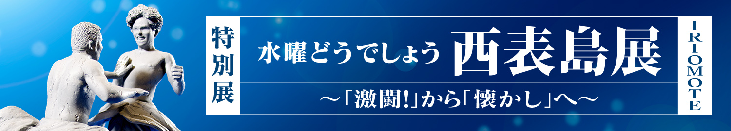 水曜どうでしょう西表島展　～「激闘！」から「懐かし」へ～