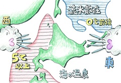 110419c.jpg