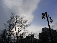110425g.JPG