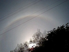 110601a.jpg