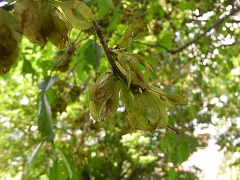 100610h.JPG