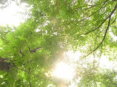 110622a.JPG