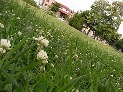 110627f.JPG