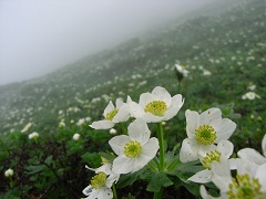110713f.JPG
