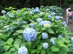 110719a.JPG