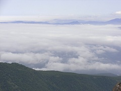 110725a.JPG
