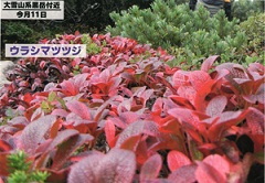 1010914c.jpg
