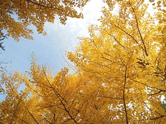 111025a.JPG