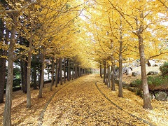 111025b.JPG
