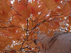 111025a.JPG