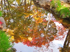 111031a.JPG