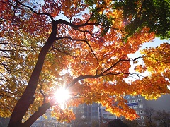 111031b.JPG