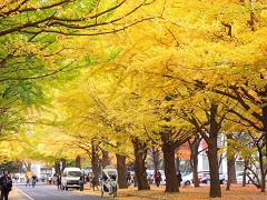 111101e.JPG