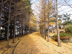 111103e.JPG