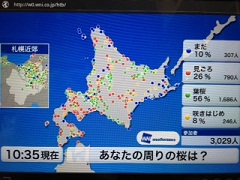 写真.JPG