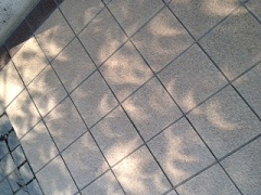 120521b.JPG