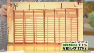 これまでの放送 イチオシ これまでの放送 イチオシ