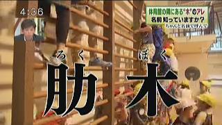 これまでの放送 イチオシ これまでの放送 イチオシ