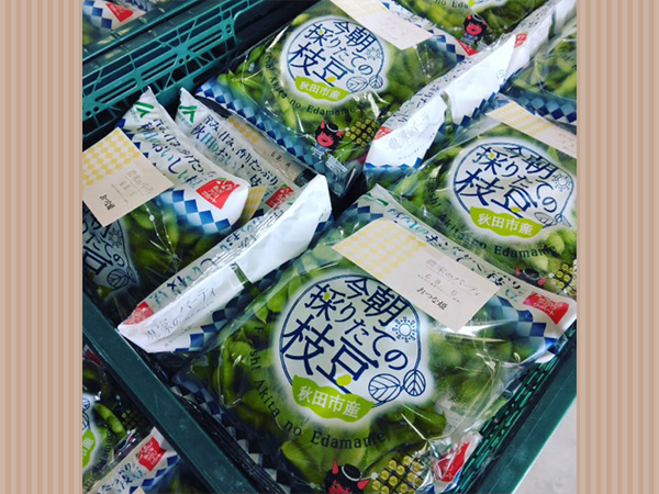 秋田えだまめ