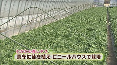 greenhouse20150502.jpg