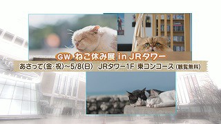 ９　ねこ休み展.jpg