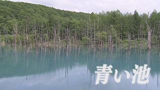 Still0707_00004.jpg