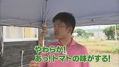 依田アナやきとり手持ち①.jpg