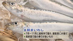 北釧まいわし(ブツ).jpg