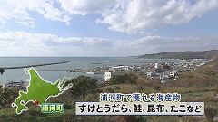 浦河町.jpg