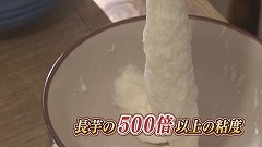 長芋の500倍.jpg