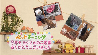 今年もたくさんのご応募ありがとうございました