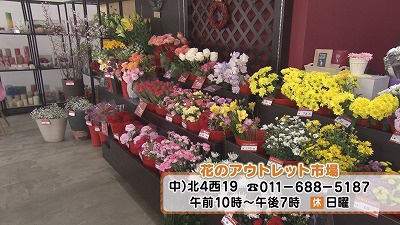 Still0217_00008.jpg