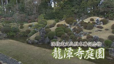 Still0225_00002.jpg