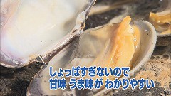 甘味、うま味が・・・.jpg