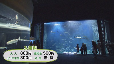 ⑦水族館料.jpg