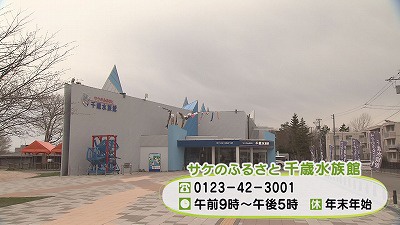 ⑥水族館外観.jpg