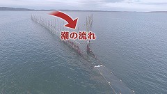 潮の流れ.jpg