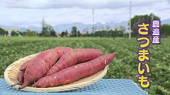 鹿追町★さつまいもブツ.jpg