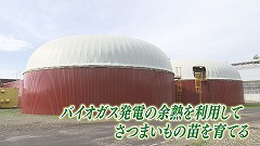 鹿追町★バイオガス発電の余熱.jpg