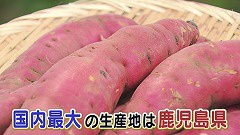 鹿追町★さつまいもは鹿児島.jpg