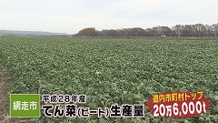 ビート 生産量トップ.jpg