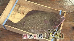 えりも町★鰈の王様