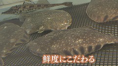 えりも町★鮮度にこだわる.jpg