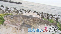 昆布森の真だら★ブツ.jpg