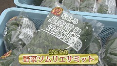 なよろ寒締めホウレンソウ★最高金賞.jpg