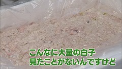 岩内町のたつかま★大量の白子.jpg